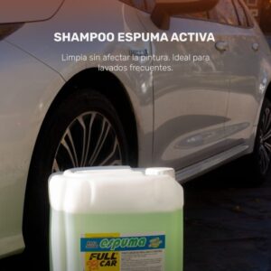 Bidon (lava autos - shampoo) Espuma Activa x 25L (DILU 1L/200L) - FUL 026 FULL CAR ( LIMPIEZA - CARROSERIAS- simil k78 a801 - k78 a803 - k78 a805)  ( Shampoo concentrado neutro para el lavado de carrocerías,Alto poder espumígeno, fácil enjuagado. Especial para máquinasde espuma. Biodegradabilidad del 85,4%Dilución para el uso: 1 parte en 200 de agua.)