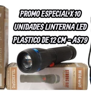 PROMO X 10 UNIDADES LINTERNA DE LED PLASTICO 12 CM - QKL AS79