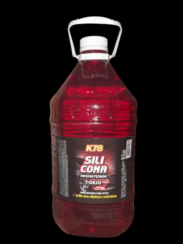 SILICONA LÍQUIDA DE INTERIORES    (TOKIO) X 5 LTS - K78 A811TK