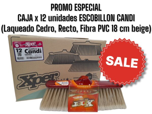 PROMO CAJA X 12 UNIDADES ESCOBILLON Candi ( Escobillón Recto, Laqueado Cedro, Fibra Pvc 18 cm, Beige.)   - XPERT 025