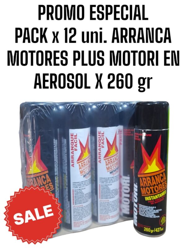 PROMO PACK X 12 UNIDADES ARRANCA MOTORES EN AEROSOL X 250 gs - PLUS 4600 PLUS MOTORI (a3615/12 - K78 550)