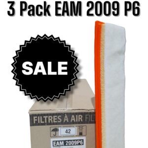 PROMO ESPECIAL 3 CAJAS X 6 UNIDADES (TOTAL 18 FILTROS)  [FILTRO EMAFI] PACK X 6 UNIDADES FORD ECOSPORT 03-/FIESTA III 02-|FIESTA V 02-13/KA II 08- (410 x 128 x 34)(EAM 2009 MR 295 FAP-9003 CA 9511 AMPI 1101 - C 4151 2N1U9601BD)("2N1U9601BD                                       MR295FORD ECOSPORT 1.6 03>/FIESTA III/FIESTA V/KA II 08>/KA III 08>                                2NVU9601BD      C 4151       CA9511     FAP-9003    MR297   AMPI1101"                                                                "410    128     34      Panel      6)con Prefiltro"                                        ) ("FAP-9003 | MR295 / MR297CA9511 | C 4151") - EAM 2009P6   (SIMIL AIPA 606)