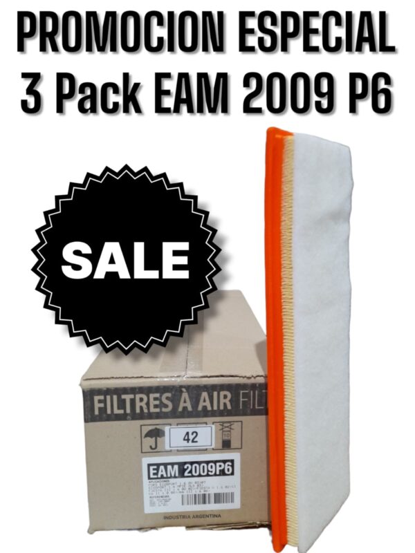 PROMO ESPECIAL 3 CAJAS X 6 UNIDADES (TOTAL 18 FILTROS)  [FILTRO EMAFI] PACK X 6 UNIDADES FORD ECOSPORT 03-/FIESTA III 02-|FIESTA V 02-13/KA II 08- (410 x 128 x 34)(EAM 2009 MR 295 FAP-9003 CA 9511 AMPI 1101 - C 4151 2N1U9601BD)("2N1U9601BD                                       MR295FORD ECOSPORT 1.6 03>/FIESTA III/FIESTA V/KA II 08>/KA III 08>                                2NVU9601BD      C 4151       CA9511     FAP-9003    MR297   AMPI1101"                                                                "410    128     34      Panel      6)con Prefiltro"                                        ) ("FAP-9003 | MR295 / MR297CA9511 | C 4151") - EAM 2009P6   (SIMIL AIPA 606)