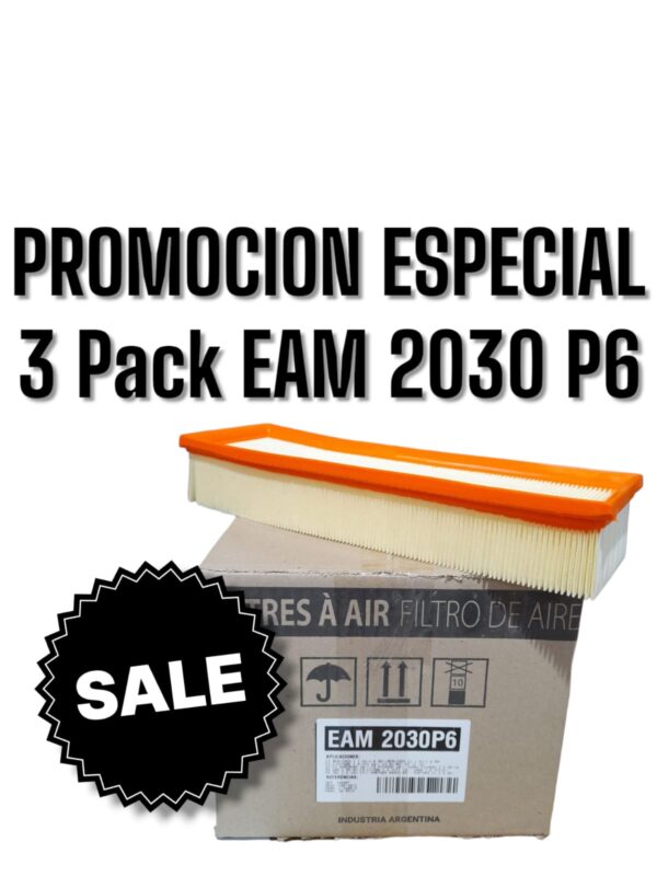 PROMO ESPECIAL 3 CAJAS X 6 UNIDADES (TOTAL 18 FILTROS)  [FILTRO EMAFI] PACK X 6 UNIDADES BERLINGO/C3/C-ELYSEE/XSARA PICASSO|P. 208/301/308/PARTNER I/II - (334 x 102 x 57)(EAM 2030 MR 313 FAP-4873 CA 9315 AMPI 1108 AR 1658PMS C 3485/2 1444EF)) ( "FAP-4873 | MR313CA9315 | C 3485/2") EAM 2030P6   (SIMIL AIPA 708)(CITROEN BERLINGO/C3/C-ELYSEE/PEUGEOT 208/301/308/2008/PARTNER 02>                          1444EF       C 3485/2      CA9315     FAP-4873    MR313   AMPI1108                                                        334    102     57      Panel      6         )