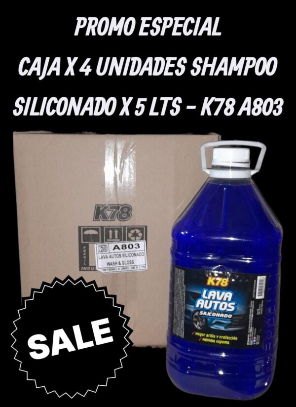 PROMO CAJA X 4 BIDONES LAVA AUTOS (SHAMPOO - ESPUMA) SILICONADO  (Aroma Blueberry) 5 LTS - K78 A803 (SIMIL FUL 024 - FUL 027 - FUL 025 - FUL 002 - FUL 020 ETC)