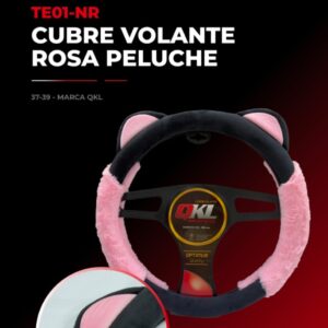 auto 37/39 nuevos ingresos TE01