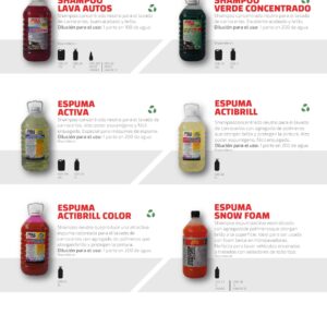 LIMPIEZA EXTERIOR SHAMPOO